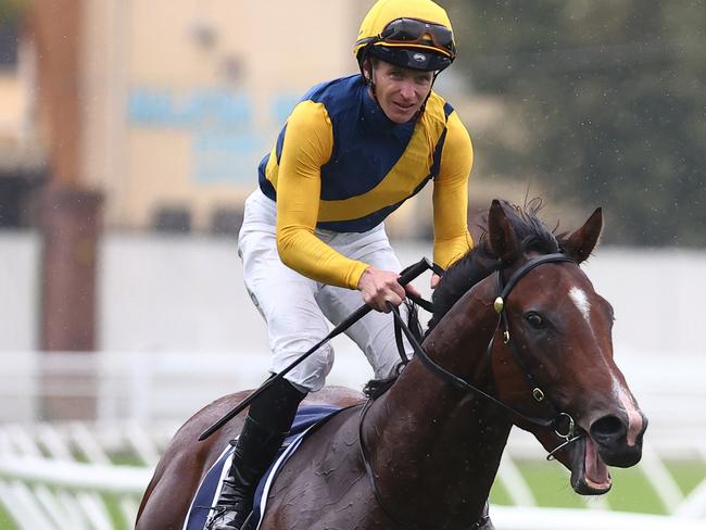 SYDNEY, AUSTRALIA - MARCH 02: James Mcdonald riding Storm Boy wins Race 4 Catanach's Jewellers Skyline Stakes during TAB Verry Elleegant Stakes Day - Sydney Racing at Royal Randwick Racecourse on March 02, 2024 in Sydney, Australia. (Photo by Jeremy Ng/Getty Images)