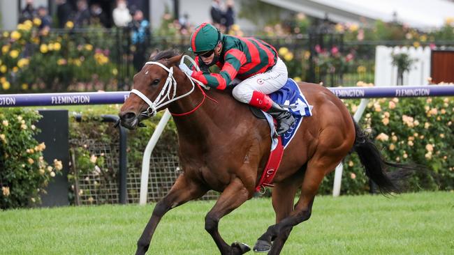 September Run ridden by Craig Williams wins the Coolmore Stud Stakes at Flemington. Photo: George Salpigtidis/Racing Photos via Getty Images