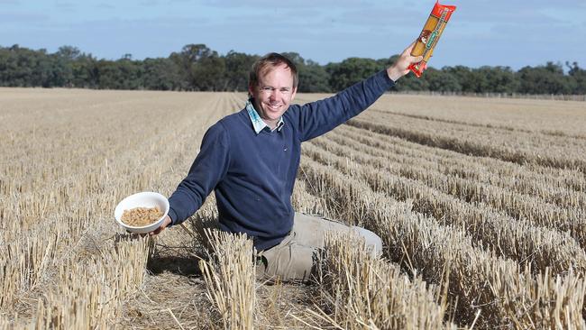 wheat tim