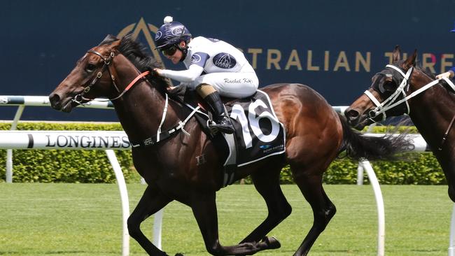 Iowna Merc has been trialling very well ahead of his race return on Saturday. Picture: Grant Guy