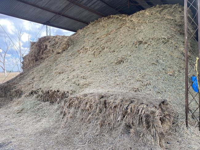 A whole shed full of hay was ruined by mice at Dave and Erin Anderson’s farm.