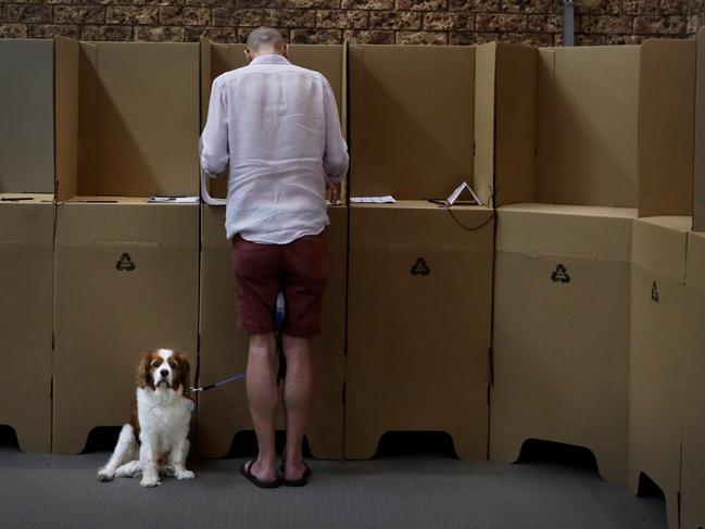 SYDNEY, AUSTRALIA - APRIL 26: A man stands with his dog while casting his vote at an early voting centre in the suburb of Eastlakes in the division of Kingsford Smith ahead of the Australian Federal Election on April 26, 2025 in Sydney, Australia. Ã¢â¬â¹Early voting for the 2025 Australian election has been highly successful, with more than 524,000 people casting their ballots on the first day alone-breaking previous records and reflecting a significant increase from past elections. The Australian Electoral Commission anticipates that around half of all votes will be cast before election day, underscoring the growing popularity and effectiveness of early voting in the country. (Photo by Lisa Maree Williams/Getty Images)