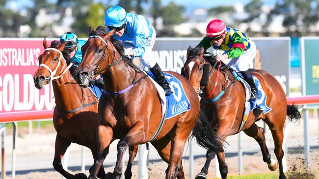 Jockey Jeff Lloyd rides Whypeeo to win race 7, the BGW Group of Companies QTIS Three-Years-Old Handicap during the CNW Raceday at Aquis Park in the Gold Coast. Photo: Albert Perez, AAP.