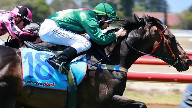 Sertorius can stamp himself as an autumn star with victory in the Blamey Stakes (1600m) at Flemington. 