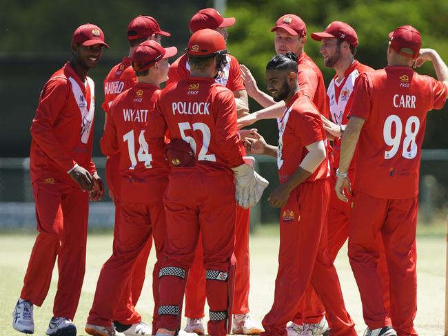 The Swans celebrate a wicket, including 44-year-old substitute fielder Will Carr.