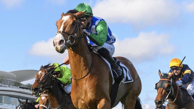 Grand Promenade has drawn the widest of Derby-winning trainers Ciaron Maher and David Eustace’s four runners. Picture: Getty Images