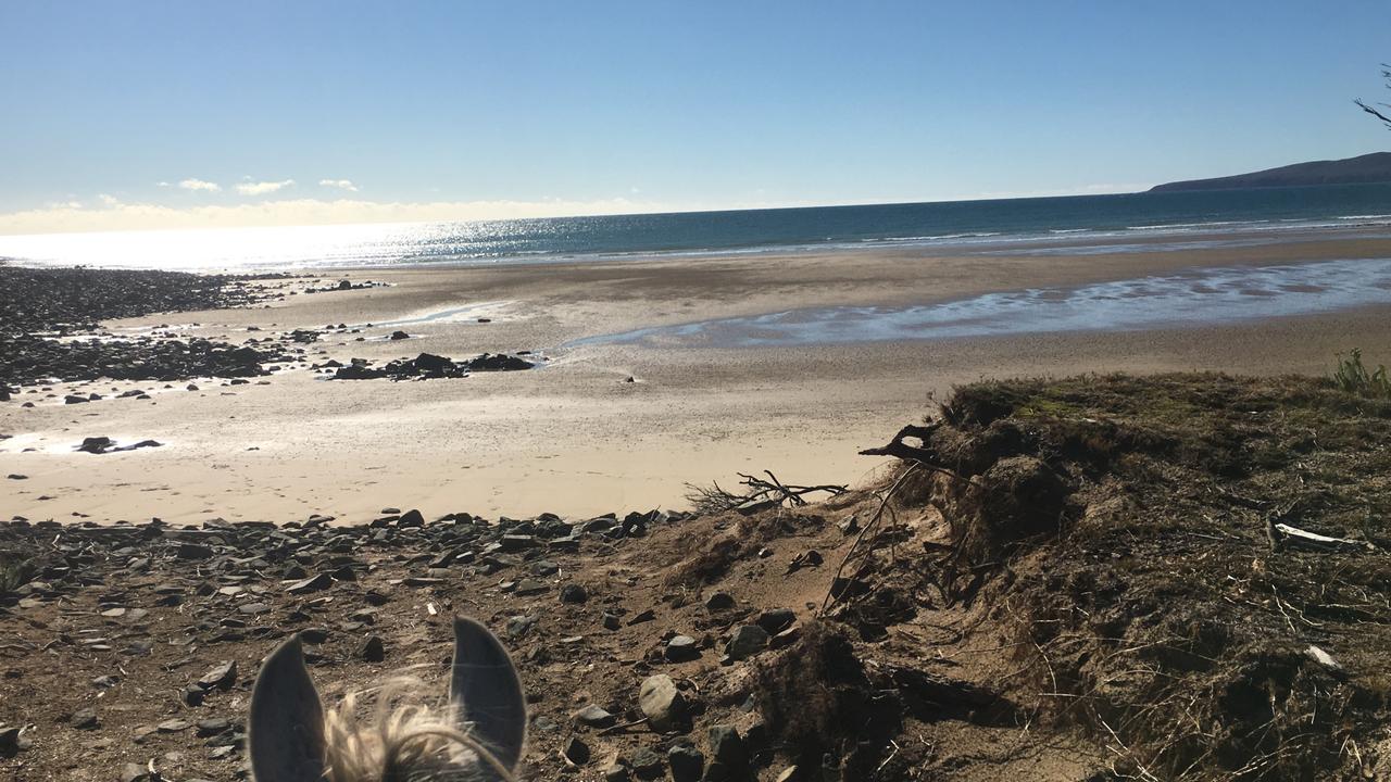 Wolfgang Mohr: Launceston teacher’s Bakers Beach drowning | The Mercury