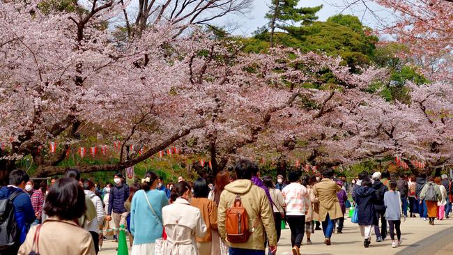 Japan continues to grow in popularity among Australian travellers, cementing its place in our top three favourite holiday destinations. Picture: iStock