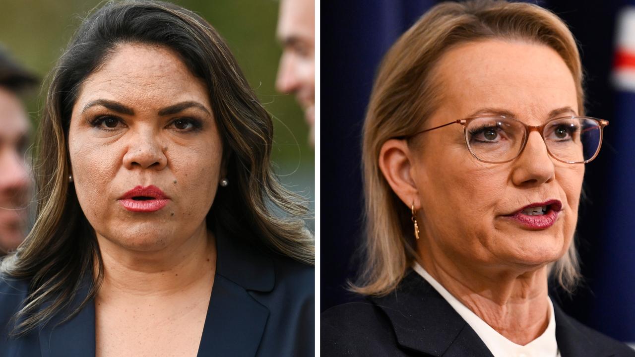 Biggest problem Sussan Ley faces inside the Liberal party room