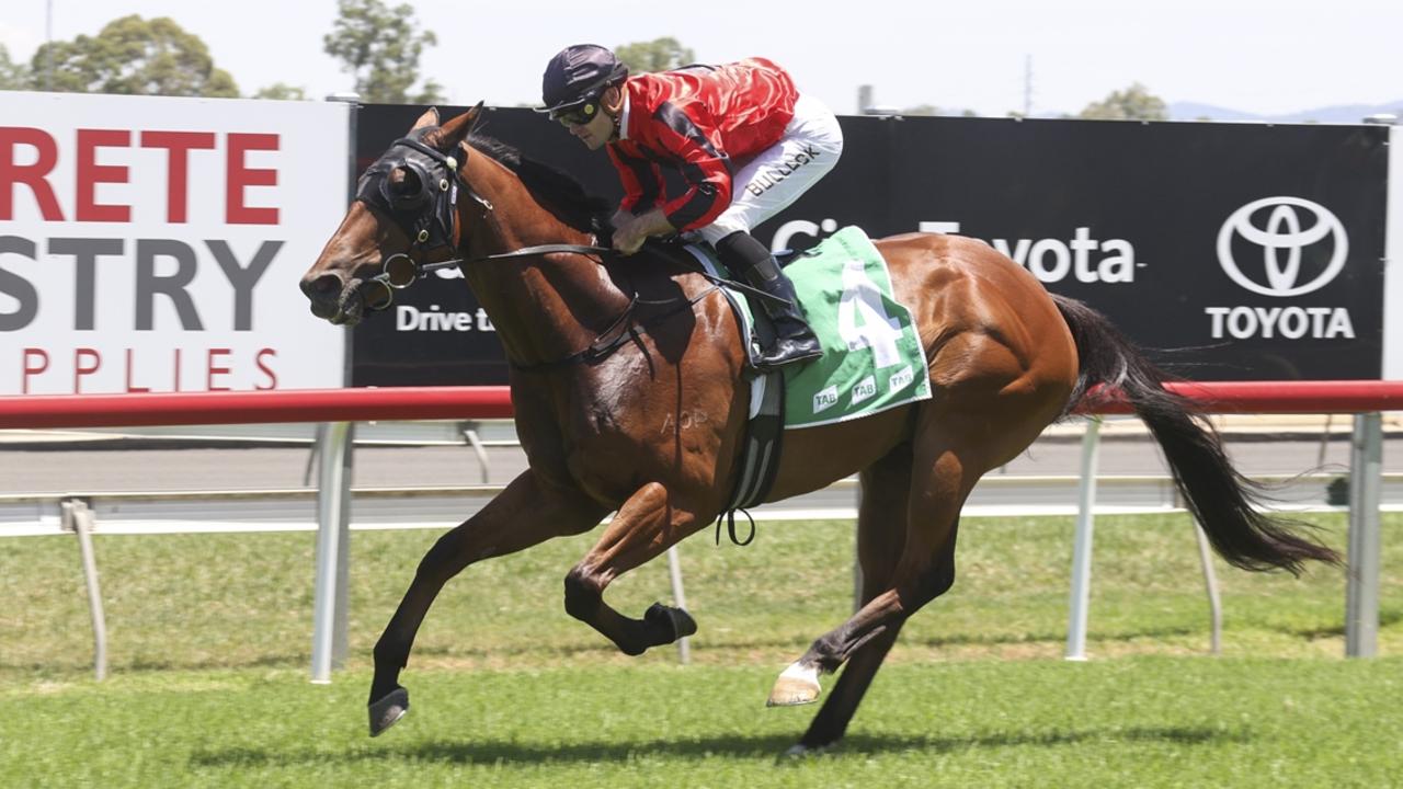 Medinah has drawn ideally on his home track. Picture: Bradley Photos