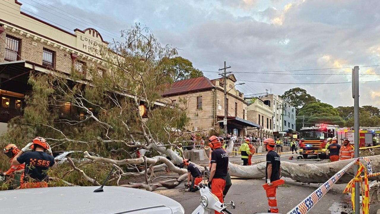 Trees down in NSW after wild weather battered the coast. Picture: NSW SES