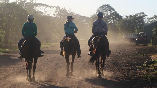 Racquel Deckert, Hannah Blair and Ned Strachan mustering cattle. Picture: Charlie Peel