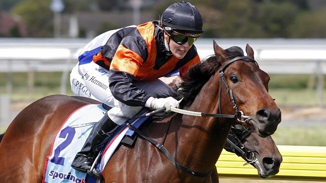Ample on Offer in chase for hat-trick at Morphettville | news.com.au ...