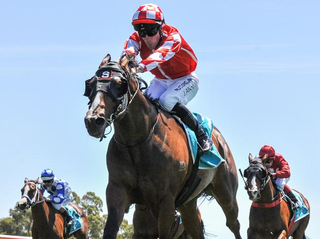 Frostin' can post a second-up win when the Peter and Paul Snowden-trained galloper steps out at Sandown on Wednesday. Picture : Racing Photos via Getty Images.