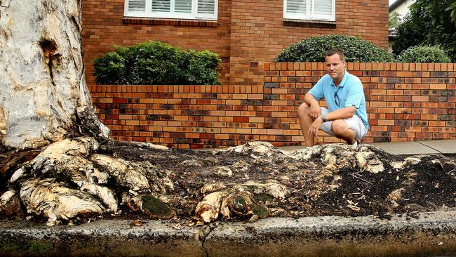 Raglan St resident Chris De Gray is upset with Mosman Council laying grass on a nature strip where he says it has died twice before. Picture: Annika Enderborg