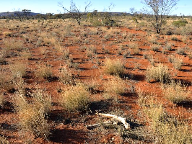 NEWS Remote area policing Warakurna bones in the desert possibly a camel Story Nicole Cox Picture: Stewart Allen