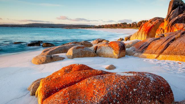 Bay of Fires. Tasmania. Australia.Photo - GettyEscape 10 March 2024kendall