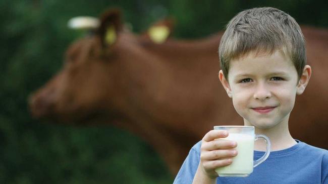 drinking milk. Picture: Monika Adamczyk