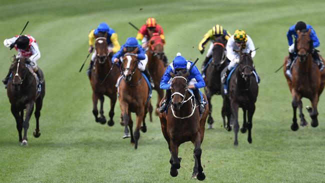 Hugh Bowman and Winx (centre) power away from the field to claim victory in the 2016 Cox Plate. Picture: AAP Image/Julian Smith