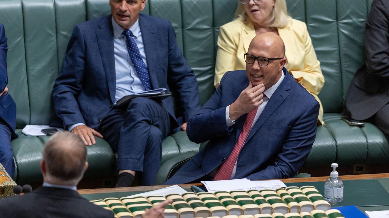 Mr Dutton repeatedly stroked his jaw in a taunt to the Prime Minister. Picture: NCA NewsWire / Gary Ramage