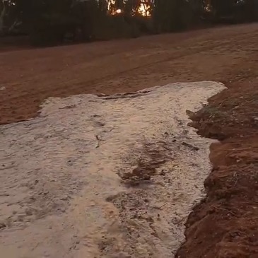 Outback Creek Brought Back to Life by Rains in Far Western New South Wales