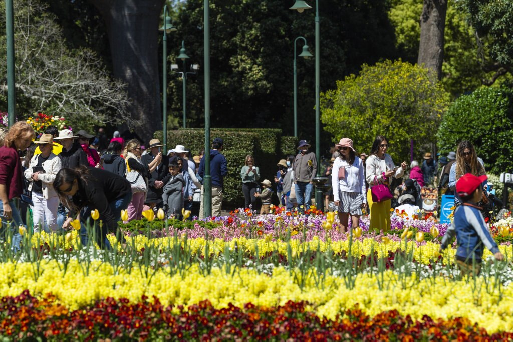 Crowds of people admire the flowers and gardens of Queens Park during Carnival of Flowers 2020, Saturday, September 26, 2020. Picture: Kevin Farmer