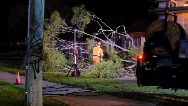 SES worker clearing the scene. Photo: Shaun Viljoen.
