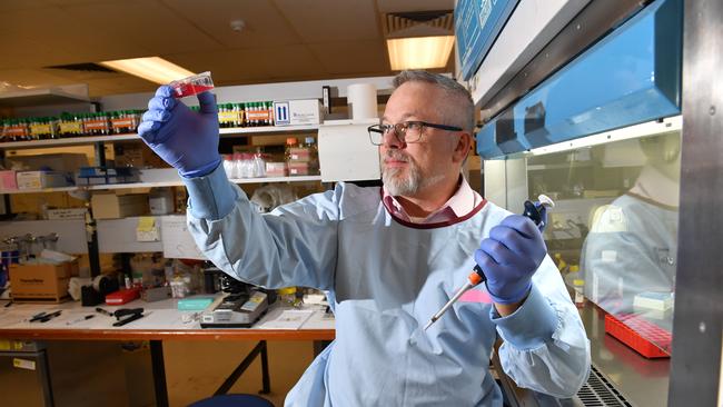 Hamish Scott is the Head of the Department of Genetics and Molecular Pathology. Picture: Keryn Stevens/AAP