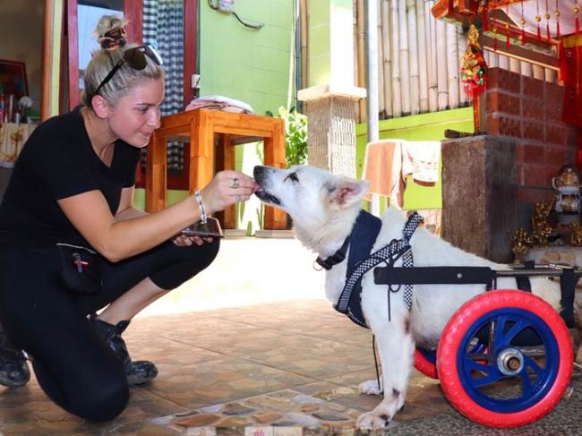 Taylor Wheeler started the Pink Paws program to help train dogs and to education children on dog safety. Picture: Supplied