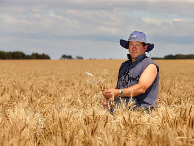 Graeme McCrow is a cropper from Westmere. pictured in a paddock of WheatPicture: ANDY ROGERS