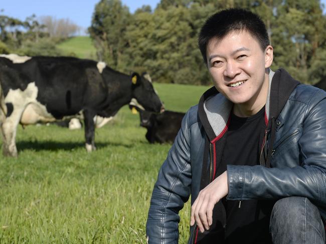 Chinese listed company DFP Australia has bought two farms, one at Poowong and one at Athlone. General manager Roy Wang at the Poowong Farm.