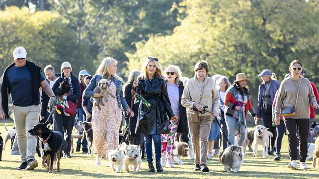 Residents are concerned about the move to dump the Save-A-Dog Scheme. Picture: Jake Nowakowski