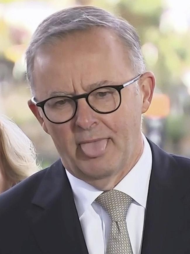 Voters will be asking questions about Albanese after his gaffe. Picture: Sky News