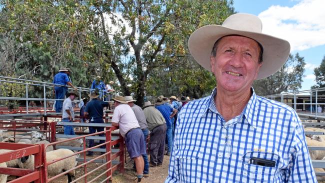 Nowlan and Co agent David Friend at the biggest sheep sale in recent times at Warwick Saleyards. Picture: Jonno Colfs