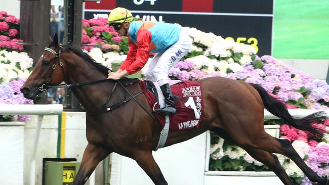 Ka Ying Rising will run in the HKJC's slot in The Everest. Picture: Grant Guy