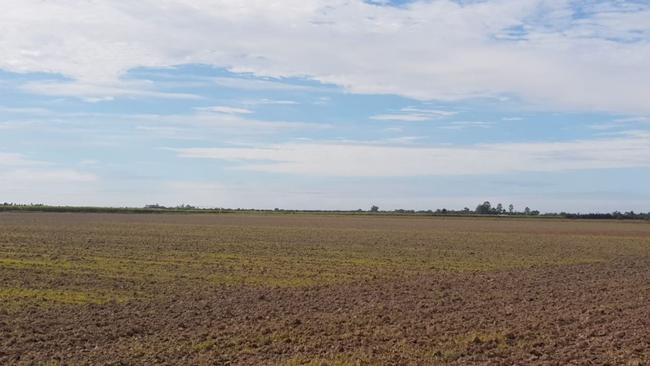 A farmland opportunity waiting to happen.