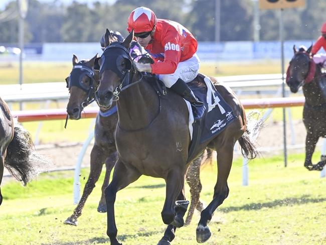 Exceed The Sky can break through for her first win at Hawkesbury on Thursday. Picture: Bradley Photos