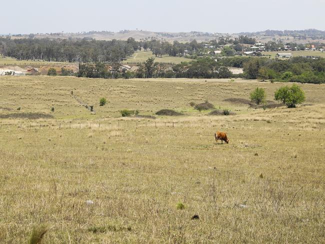 General view of Menangle, which is said to be redeveloped. Picture: Dylan Robinson