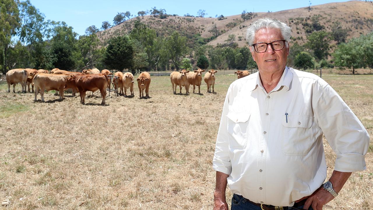 Wagyu king recognised with Australia Day honour