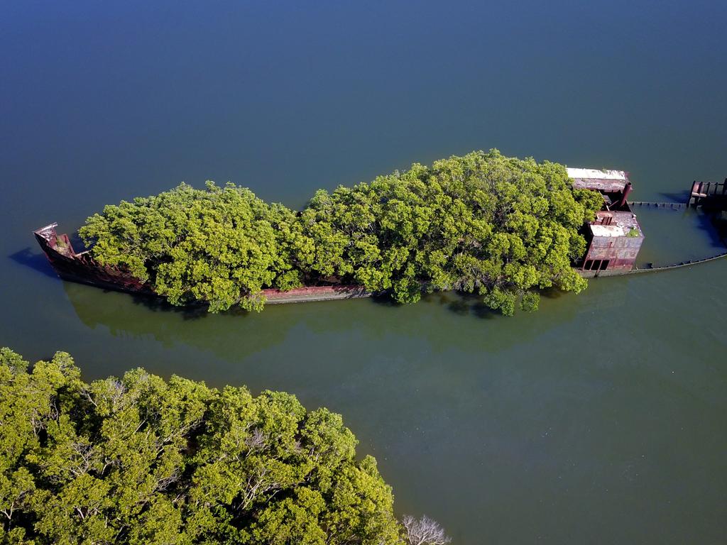 Shipwrecks in Homebush Bay. Picture: Toby Zerna