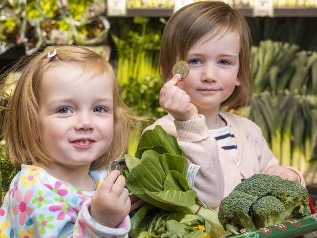 Family donating money to the Feed Appeal in store at Woolworths to help hit the target of 3 million meals for Aussies in need. Rebecca Winter with Winnie, 4, and Marla, 2 with their groceries.Picture by Wayne Taylor 23rd June 2021