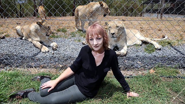 Shambala Animal Kingdom in Cairns to go to auction, with animals ...