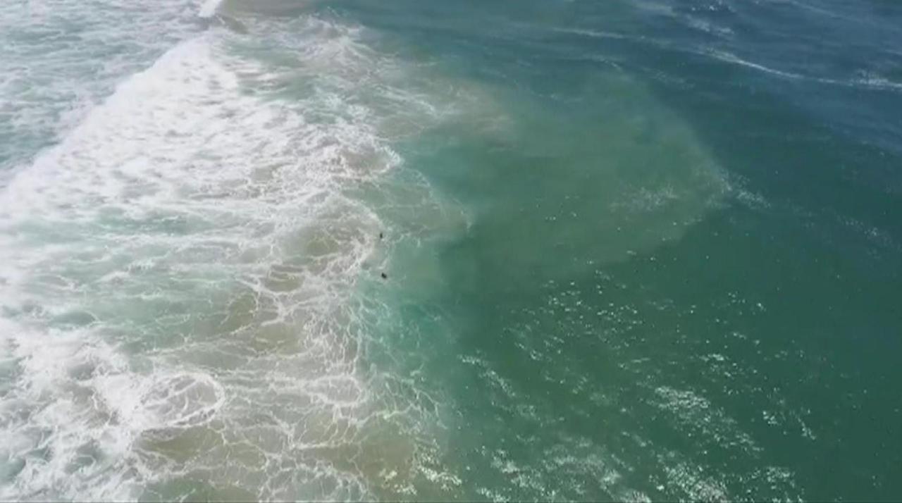 A pair rescued off NSW north coast by a drone