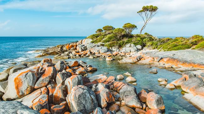 Red rock coastline seen at Bay of Fires on the east coast of Tasmania, Australia.Escape 7 April 2024NewsPhoto - iStock