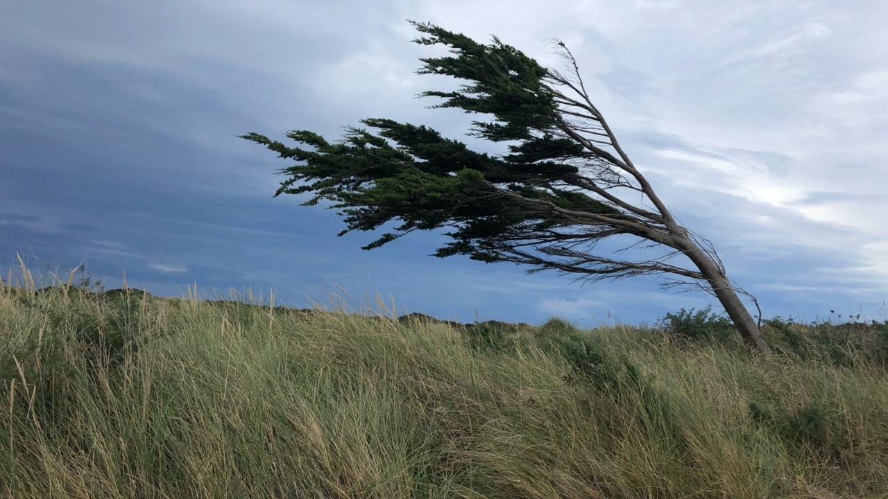 Severe weather causes power outages in South Australia