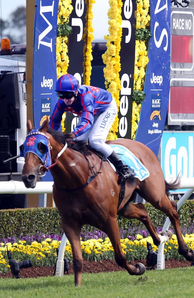 Mahuta, ridden by Brad Rawiller, wins the Magic Millions Guineas at the Gold Coast. Picture: Richard Gosling