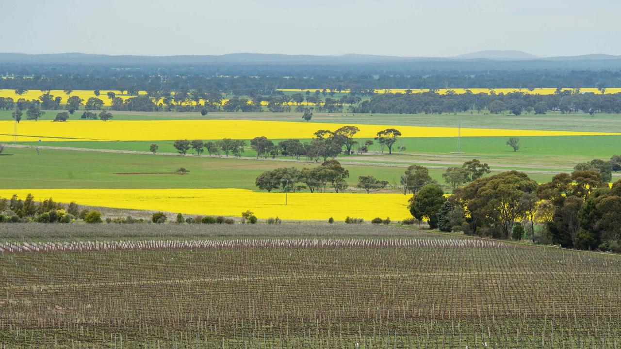 The Cooba Solar Project at Colbinabbin has been approved by the state government. Picture: Zoe Phillips