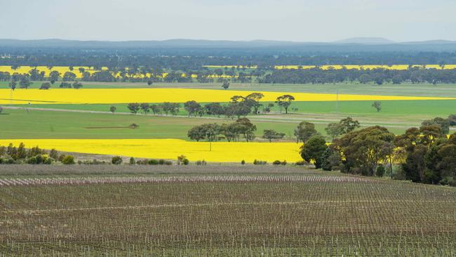 The Cooba Solar Project at Colbinabbin has been approved by the state government. Picture: Zoe Phillips