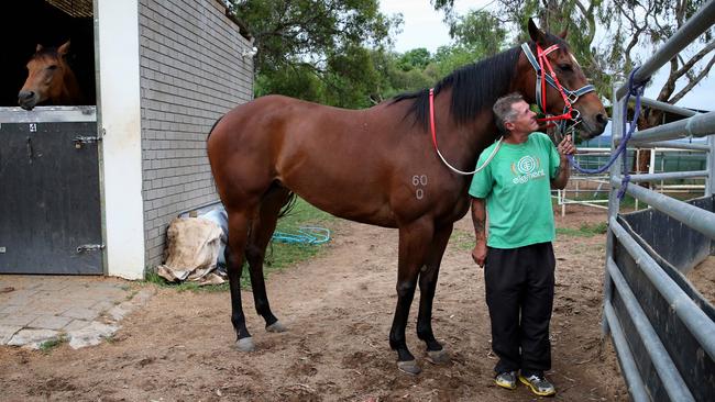 Queanbeyan racing preview Nic Ashman Daily Telegraph