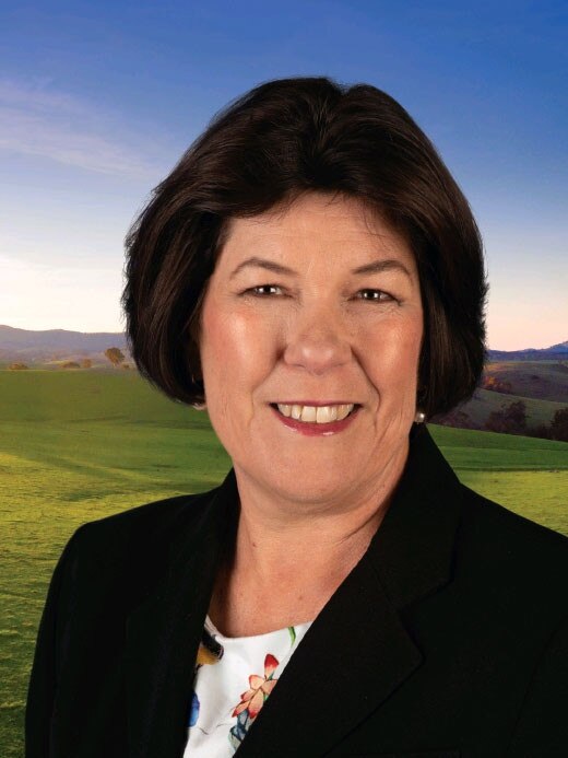 New England Labor candidate Yvonne Langenberg. Picture: Supplied